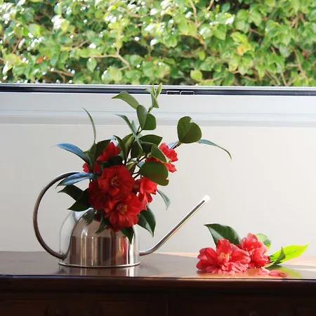 Quinta Atlantis Frühstückspension Povoacao (Sao Miguel)