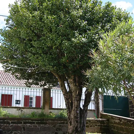 金塔亚特兰蒂斯住宿加早餐旅馆 住宿加早餐酒店