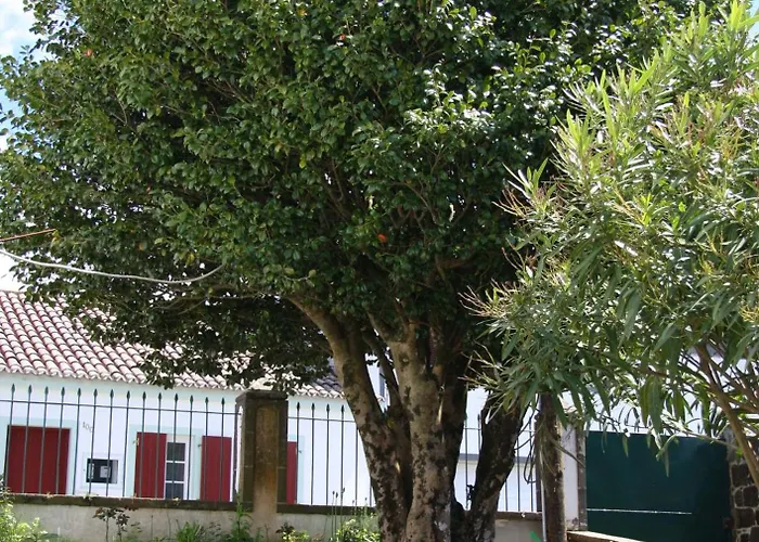 金塔亚特兰蒂斯住宿加早餐旅馆 住宿加早餐酒店