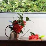 Quinta Atlantis Couette-café Povoacao (Sao Miguel)