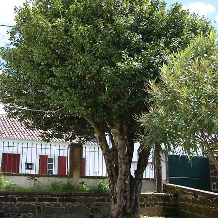 Oda ve Kahvaltı Quinta Atlantis Povoacao (Sao Miguel)